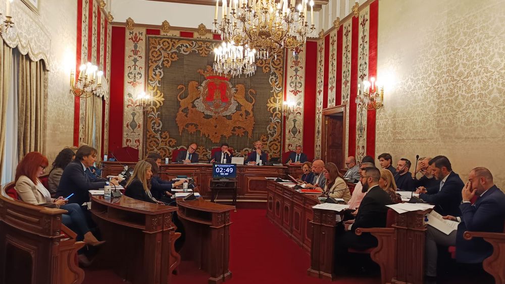Pleno del Ayuntamiento de Alicante Pleno del Ayuntamiento de Alicante