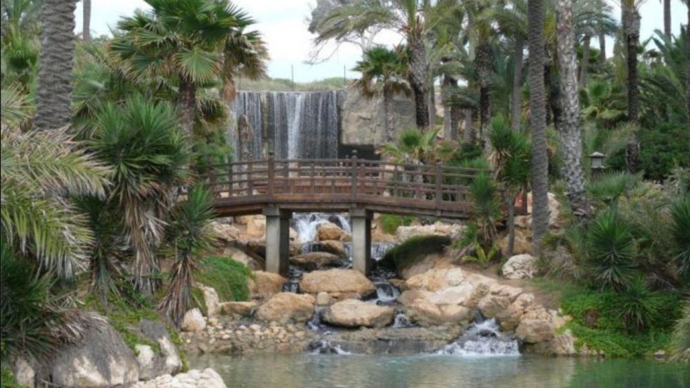 Parque El Palmeral en Alicante