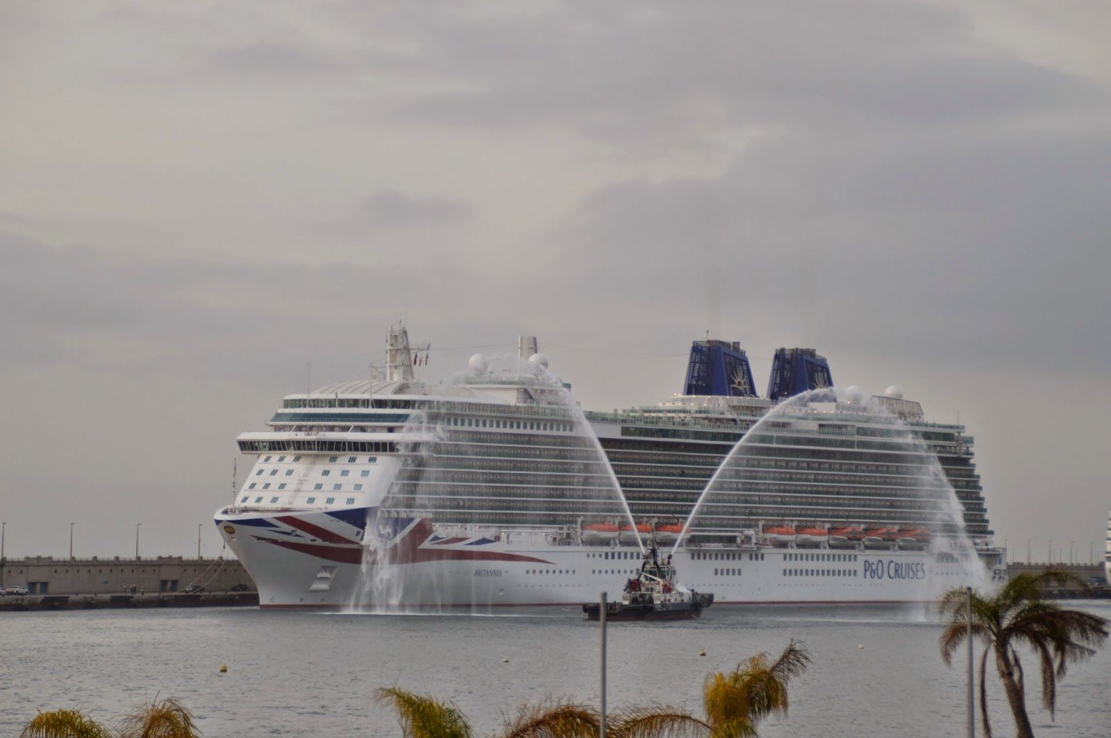 Creuer Arvia atracat en un port