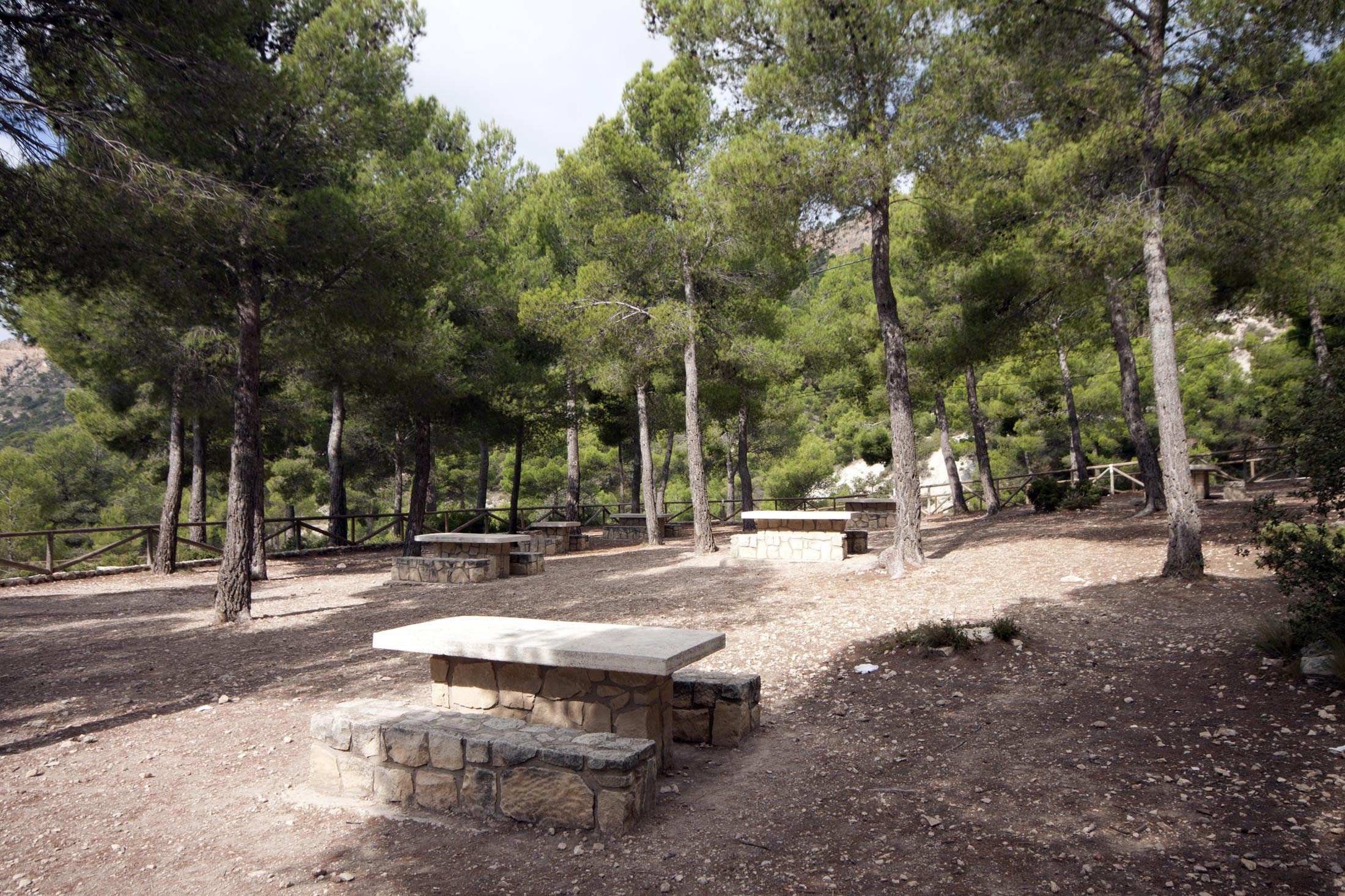 Berenador en el Xorret de Catí (Foto: Alacant Natura)