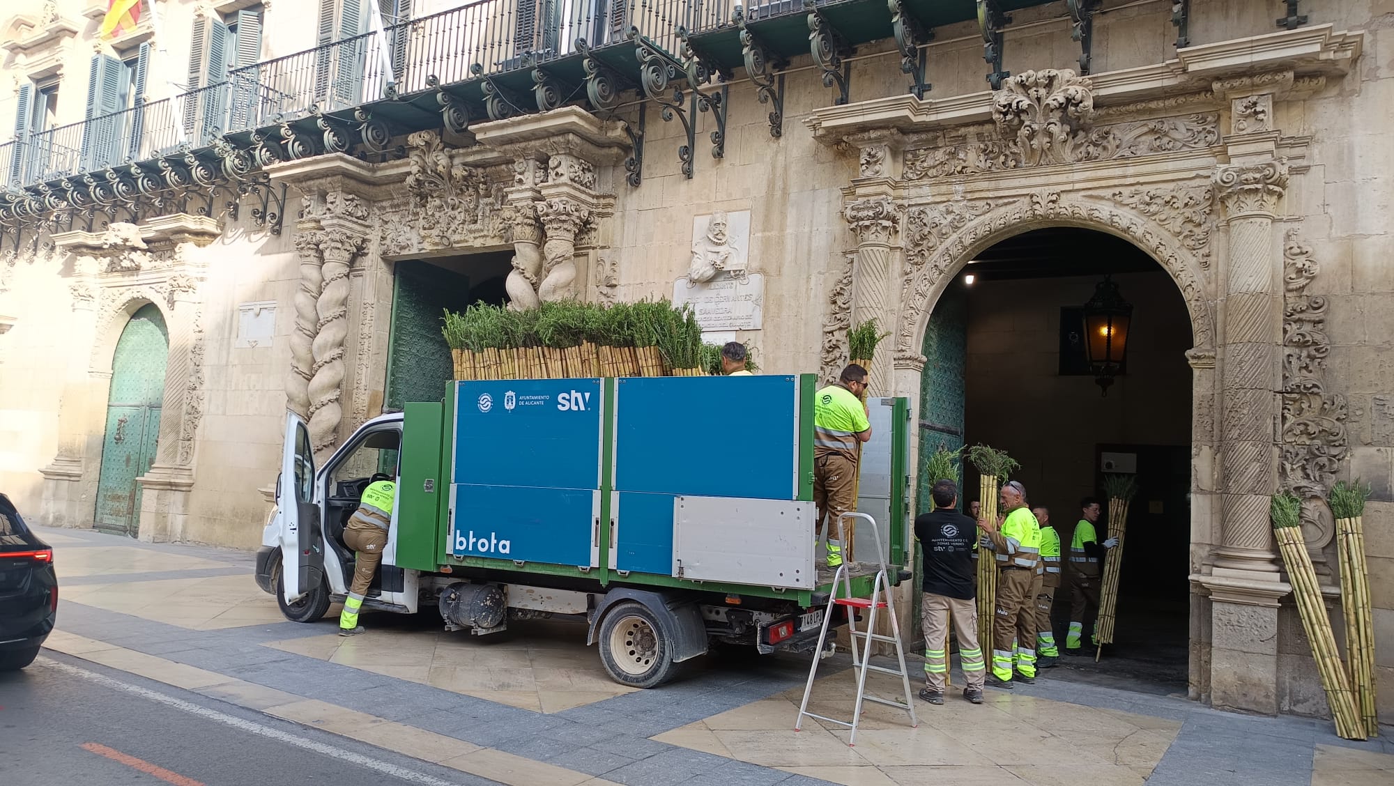 Preparativos de cañas para la Santa Faz