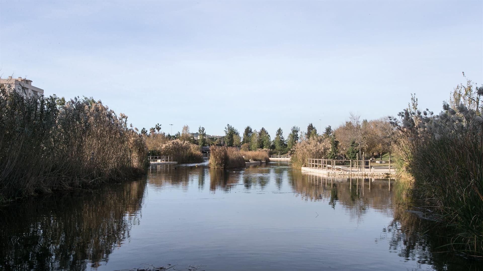 Parque La Marjal de Alicante