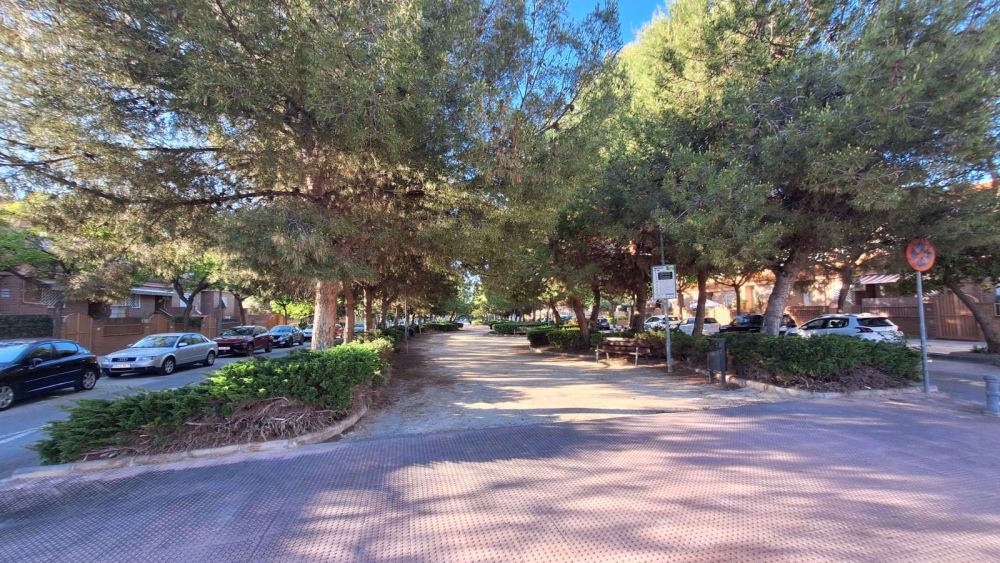 Senda peatonal central en la avenida L'Almassera de San Vicente Senda peatonal central en la avenida L'Almassera de San Vicente