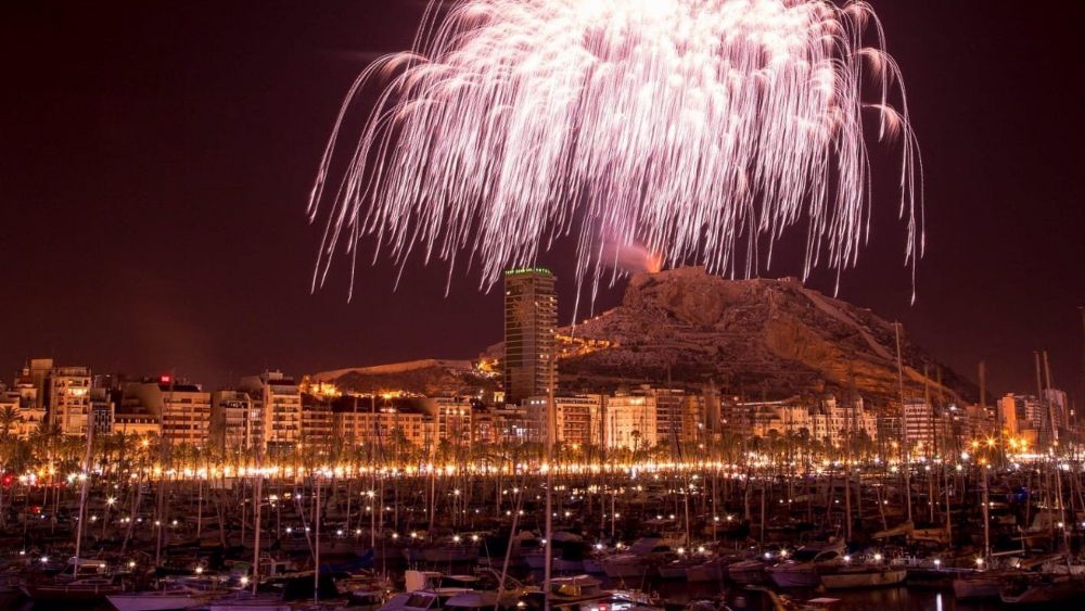 Palmera de Alicante desde el Castillo de Santa Bárbara