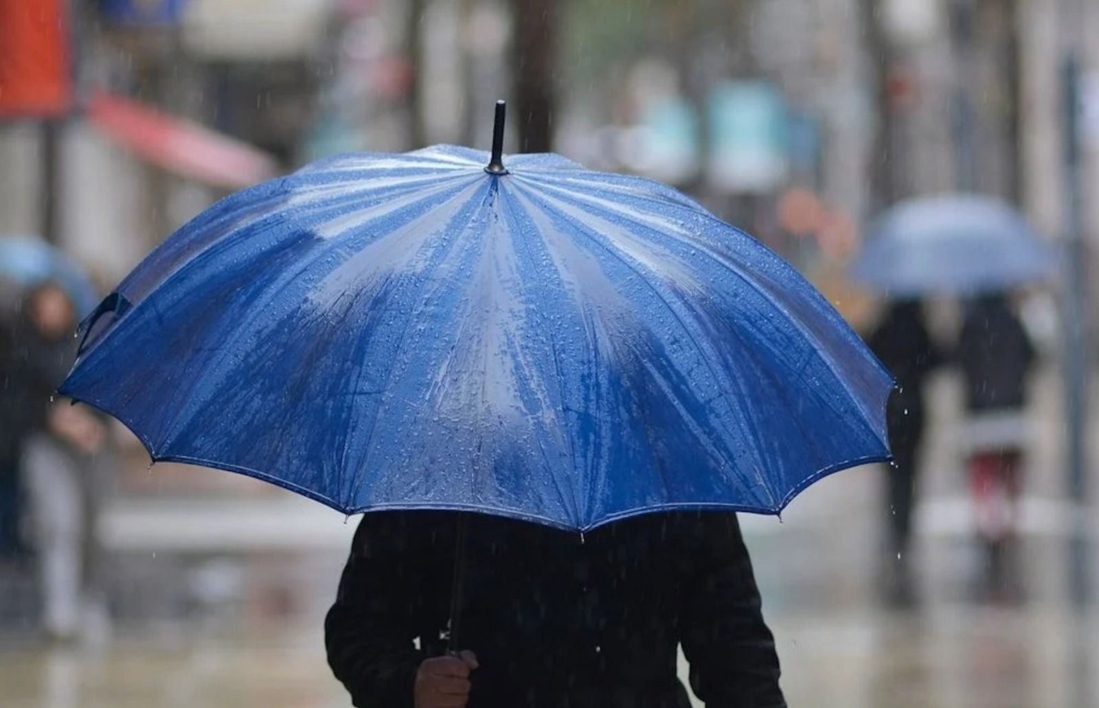 Una persona bajo un paraguas en un día de lluvia