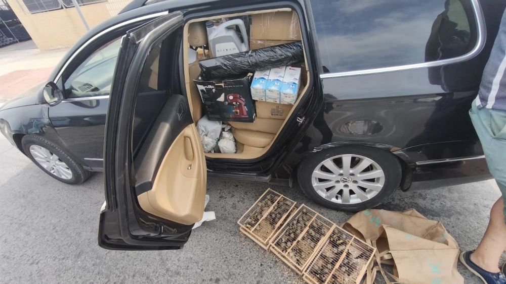 Vehículo interceptado con jilgueros de forma ilegal