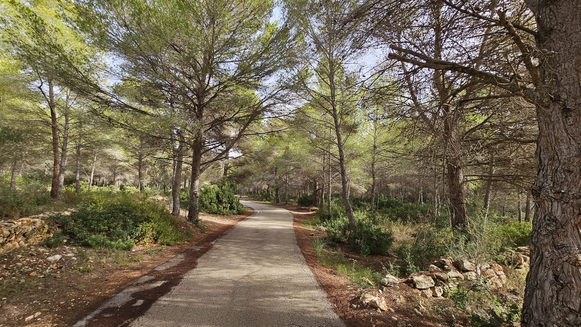 Pulmón verde de Calpe