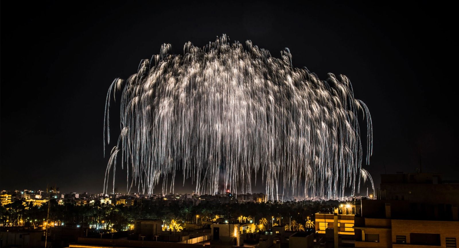 Imatge de la Nit de l'Albà a Elx