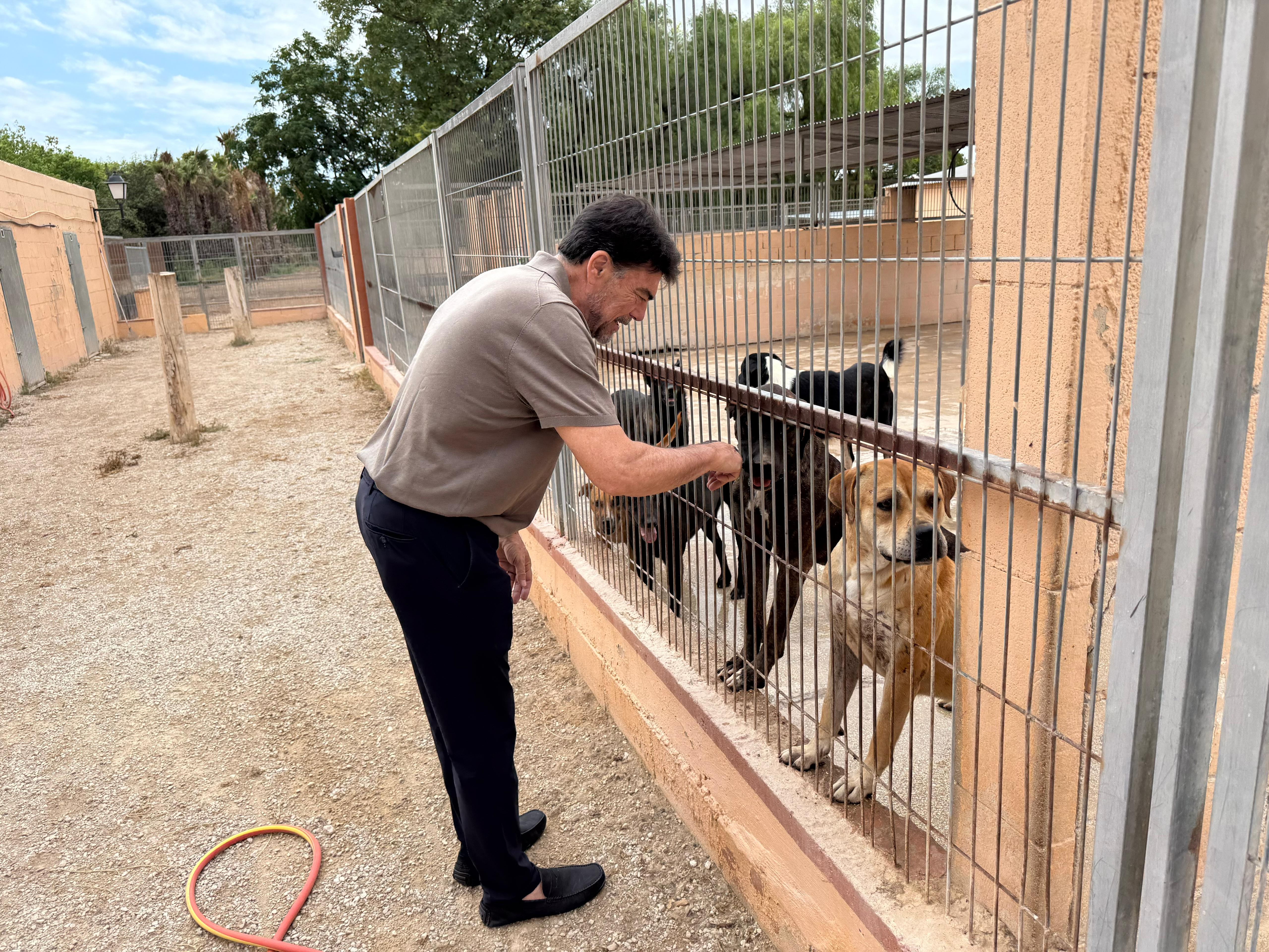 Albergue municipal de Alicante, gestionado la Sociedad Protectora de Animales y Plantas de Alicante