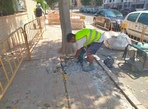 Mantenimiento de las calles de Alicante