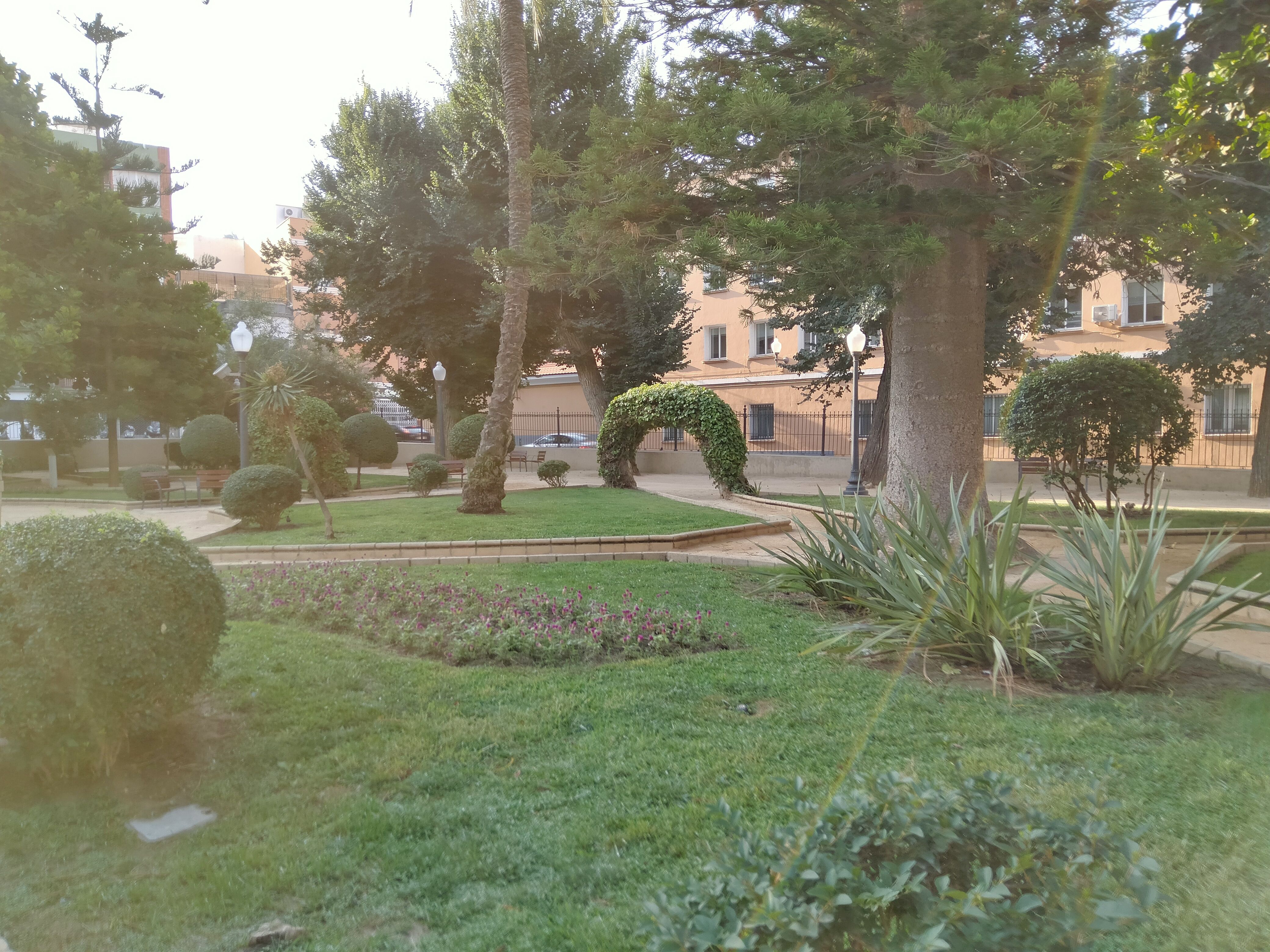 Resembrado del césped del Panteón Quijano en Alicante
