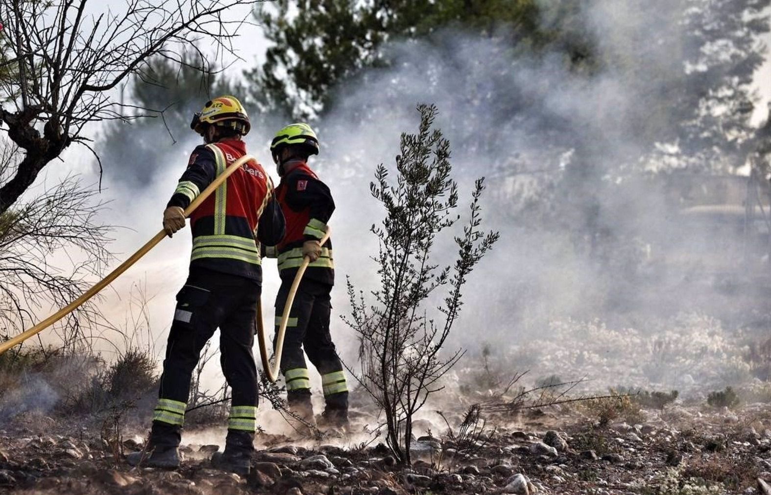 Bomberos de Alicante durante la extinción de un incendio forestal (Foto: Consorcio de Bomberos de la Diputación)
