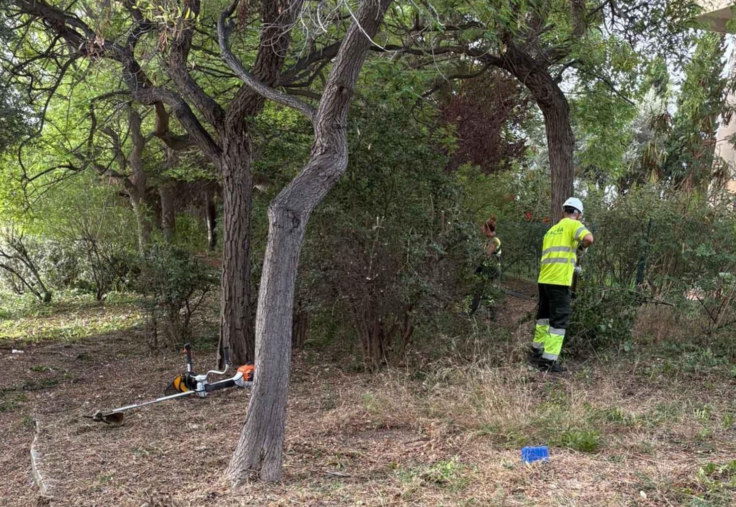 Treballs de manteniment i prevenció d'incendis en El Murtal de Benidorm