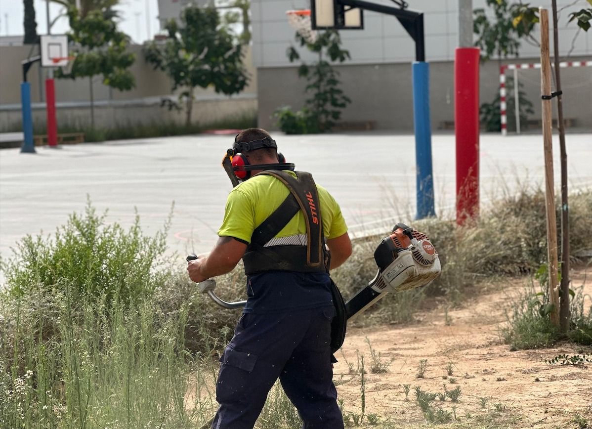 Un operario acondiciona las zonas verdes de los colegios de Torevieja