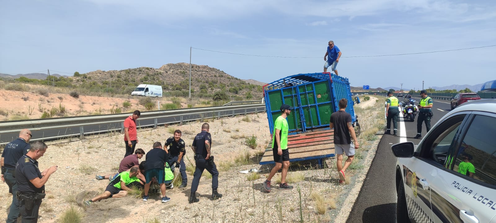 Incidente de una vaquilla en la AP7 de Alicante