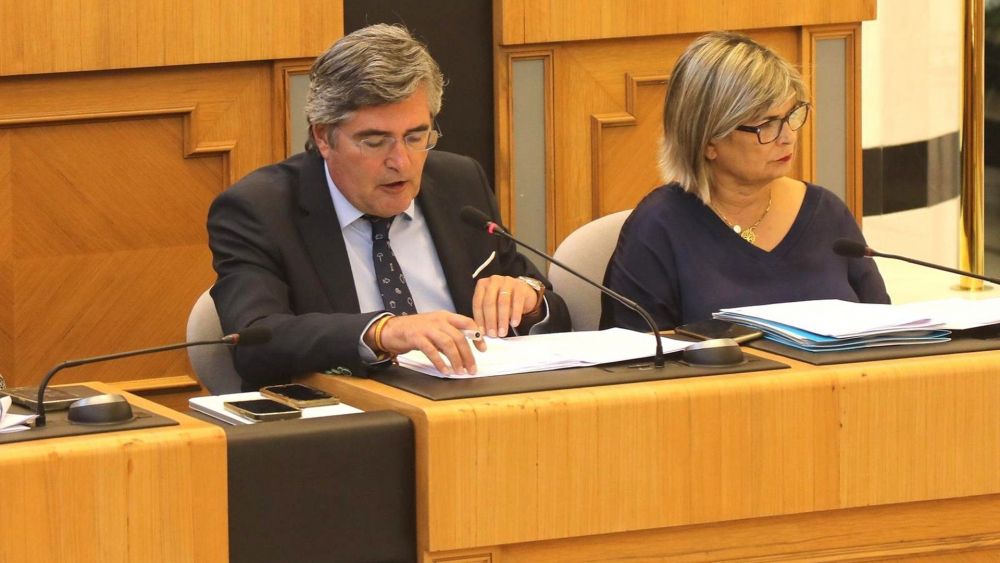El diputat de Desenvolupament Econòmic, Carlos Pastor, en el Ple de la Diputació d'Alacant