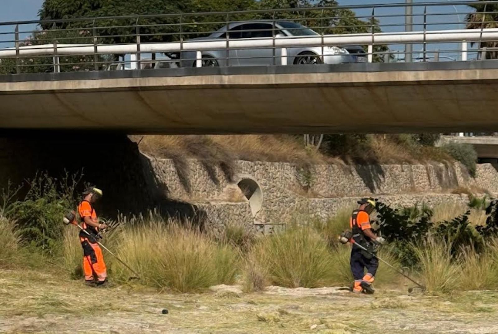 Operarios de la limpieza de Alicante desbrozan el barranco de Juncaret