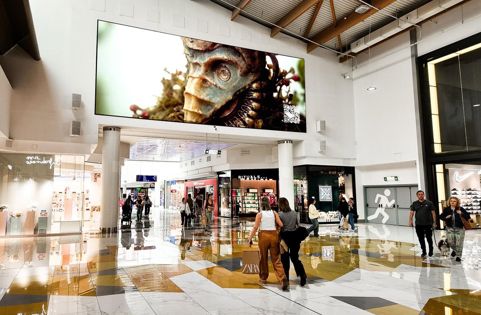 Exposición 'Naturaleza Descifrada' en L'Aljub