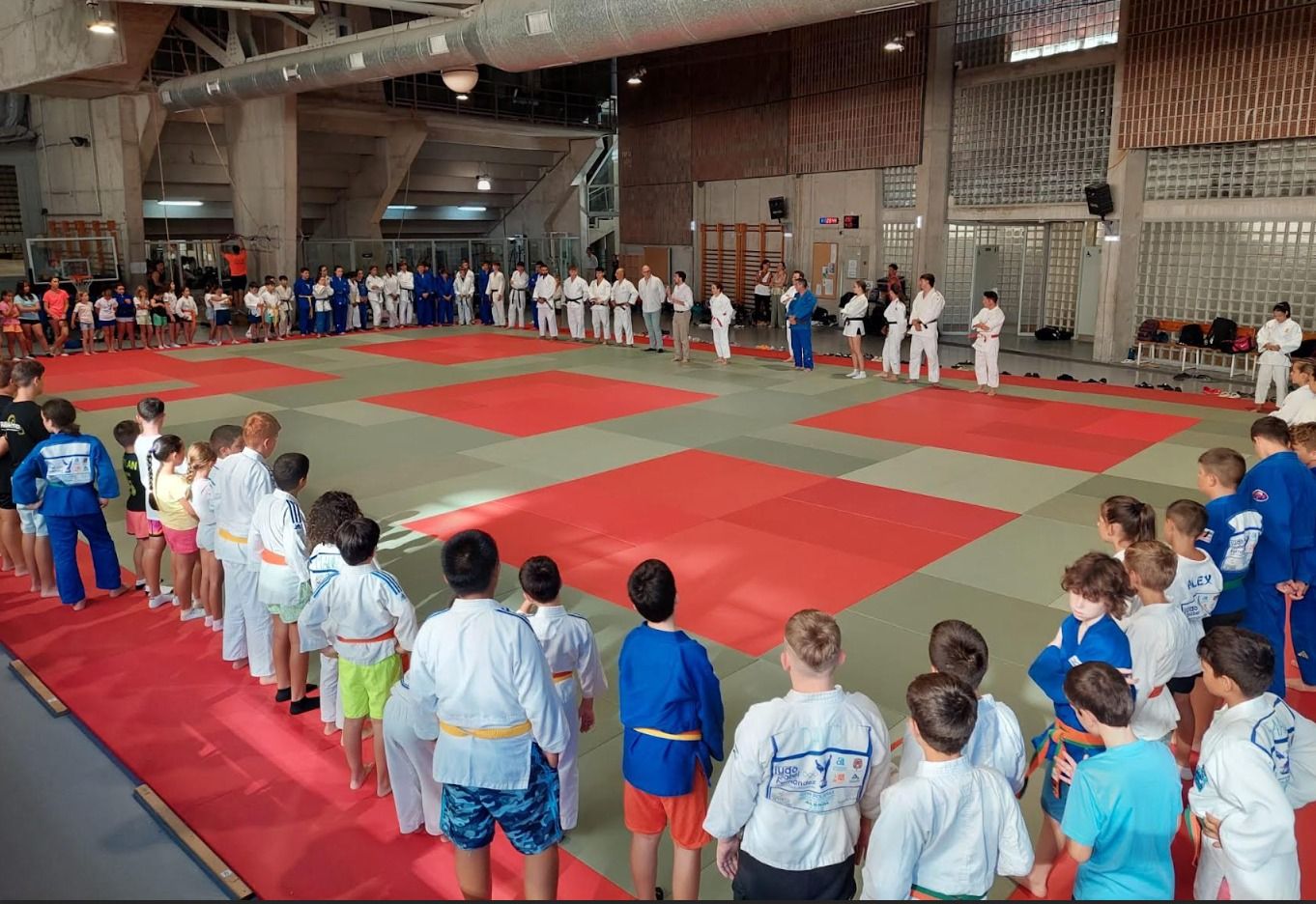 Escola esportiva de Judo a Alacant