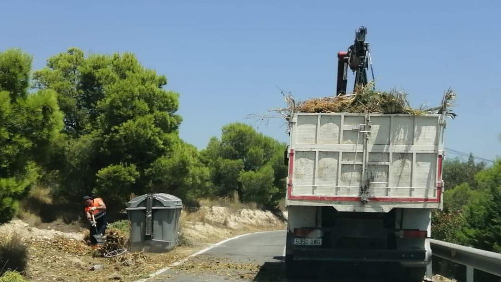 Recogida de poda en las partidas rurales de Alicante
