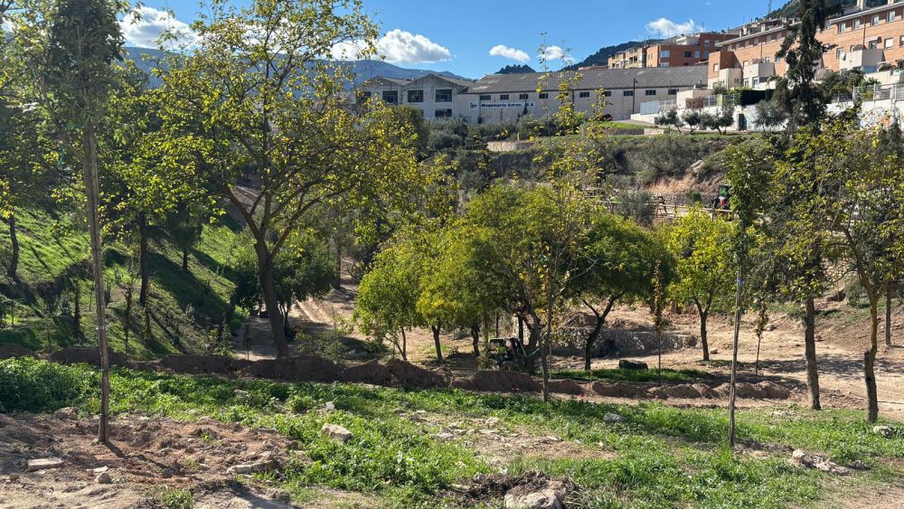 Plantación de árboles en la zona de La Vaguada en Alcoy Plantación de árboles en la zona de La Vaguada en Alcoy