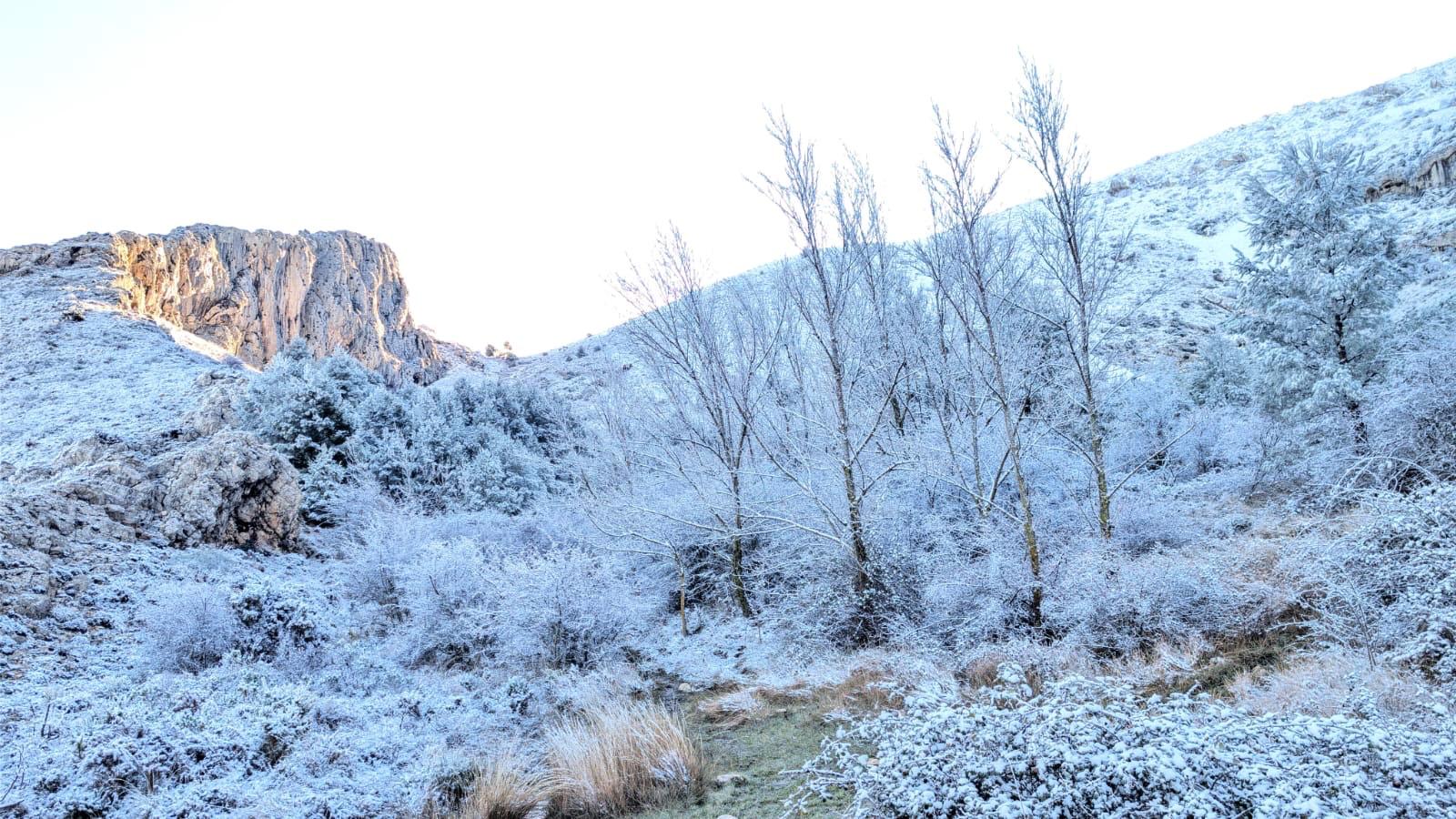 Cim de La Serrella cobert de neu