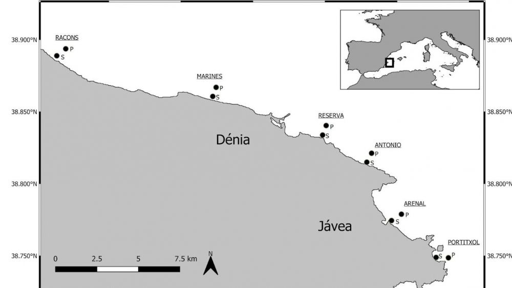 Mapa del mostreig de la microalga en el litoral nord d'Alacant Mapa del mostreig de la microalga en el litoral nord d'Alacant