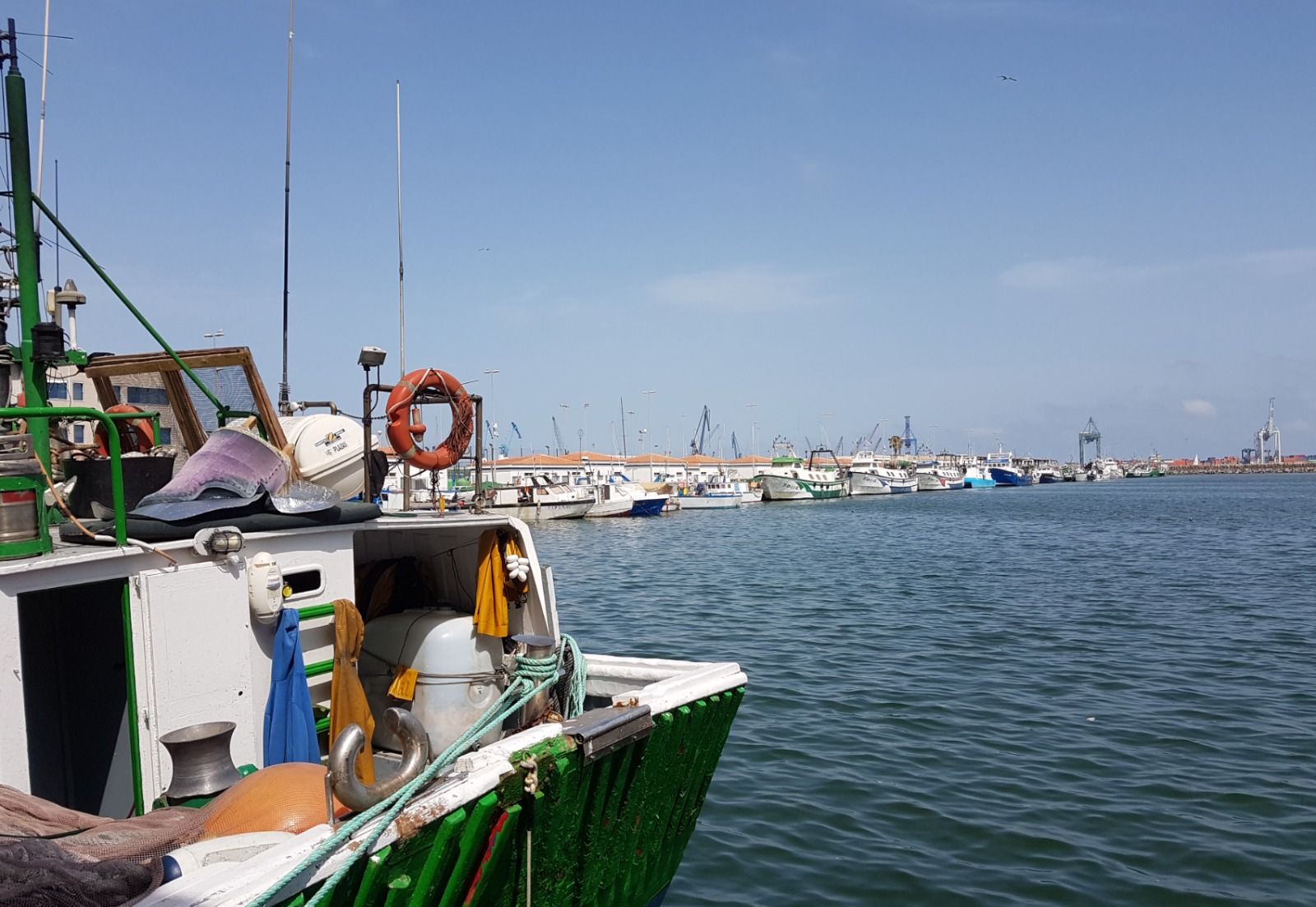 Un vaixell pesquer ix a pescar en un port d'Alacant (Foto: GVA)