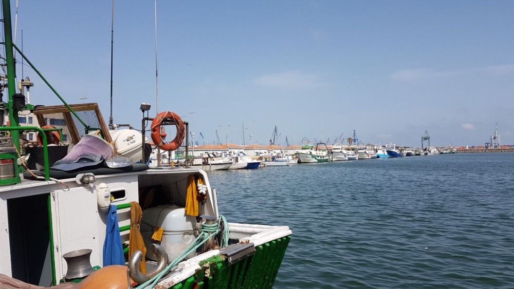 Un vaixell pesquer ix a pescar en un port d'Alacant (Foto: GVA) Un vaixell pesquer ix a pescar en un port d'Alacant (Foto: GVA)