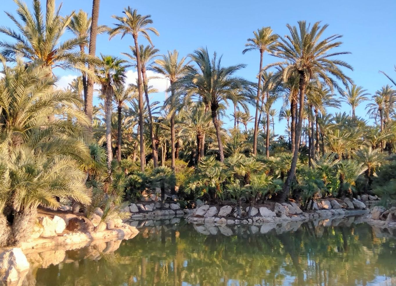 El Palmeral de Alicante