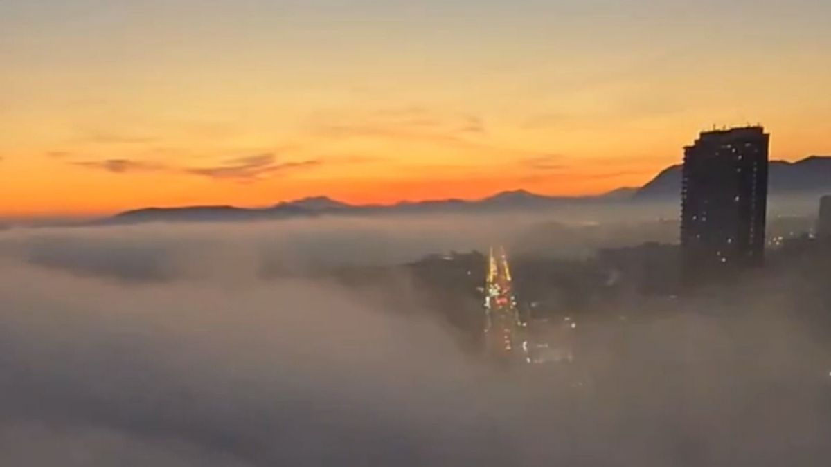 Edificis en el centre d'Alacant sobrepassen la densa boira (Font: Samuel Biener)