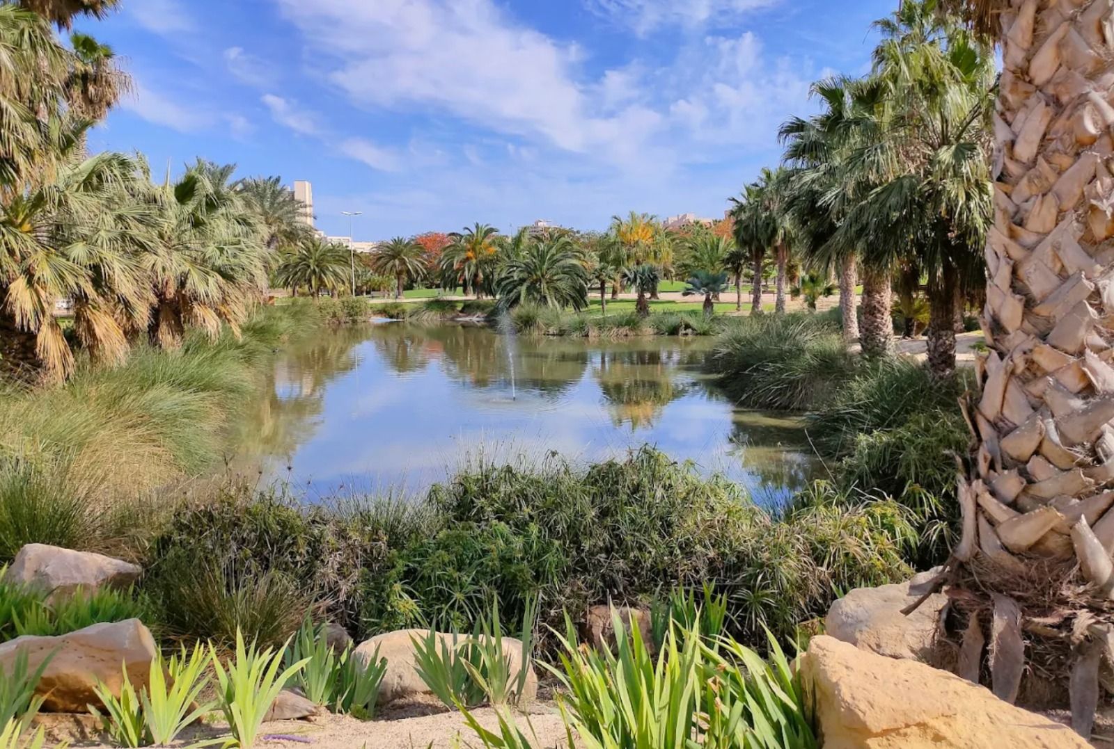 Parc Sergio Melgares a Alacant Parc Sergio Melgares a Alacant