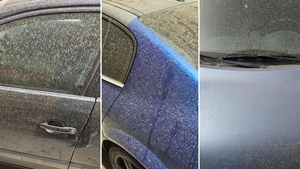 Coches cubiertos de polvo sahariano en la ciudad de Alicante (Fotos: Laboratorio de Climatología de la UA)