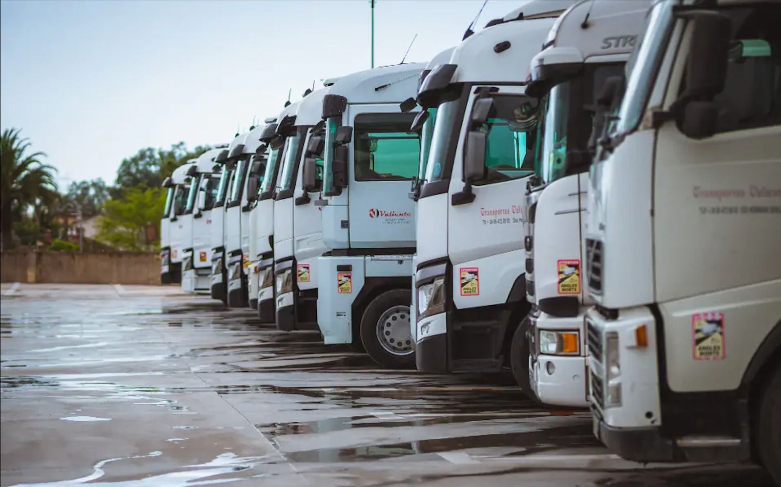 Formació de camions de transport (Foto: Aliança Logistics) Formació de camions de transport (Foto: Aliança Logistics)