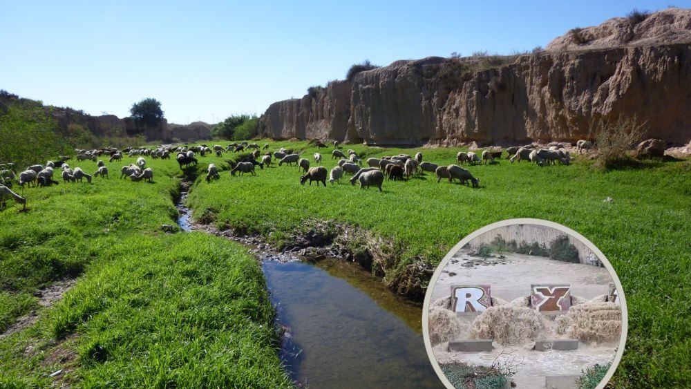 Montaje de la cabecera tranquila en el barranco de las Ovejas y la desembocadura en un día de lluvias en Alicante
