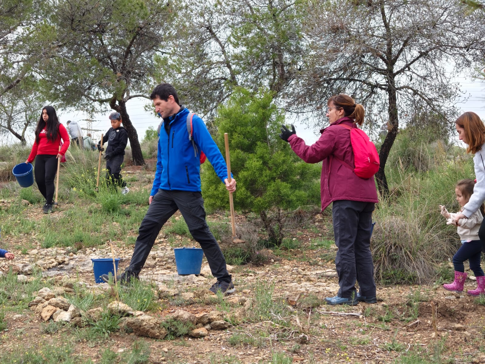 Reforestació de primavera de la Muntanya Orgegia