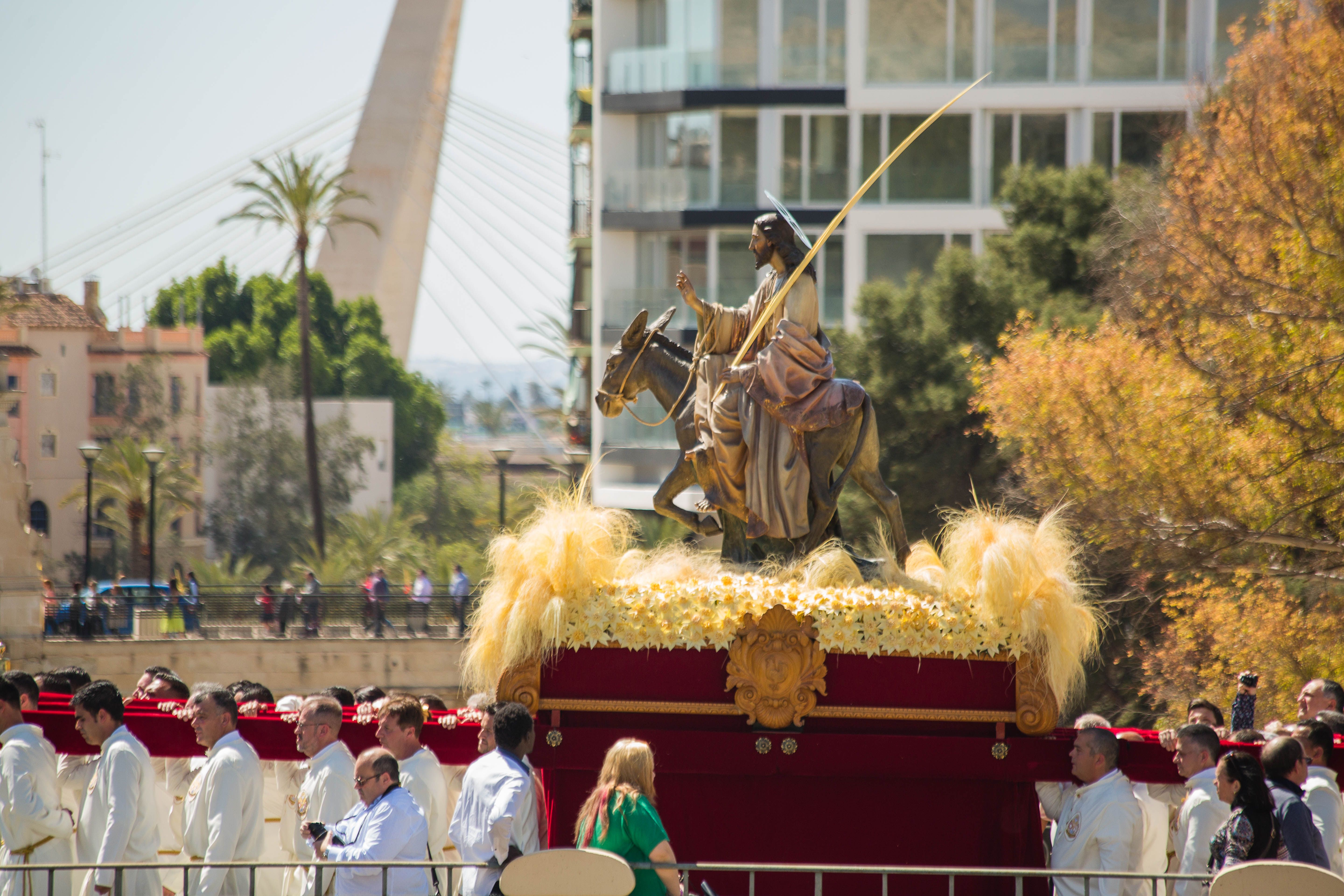 Foto Domene Fotógrafo per Ajuntament d'Elx