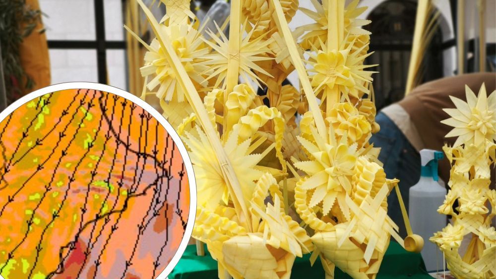 Vent a Alacant en Diumenge de Rams Vent a Alacant en Diumenge de Rams