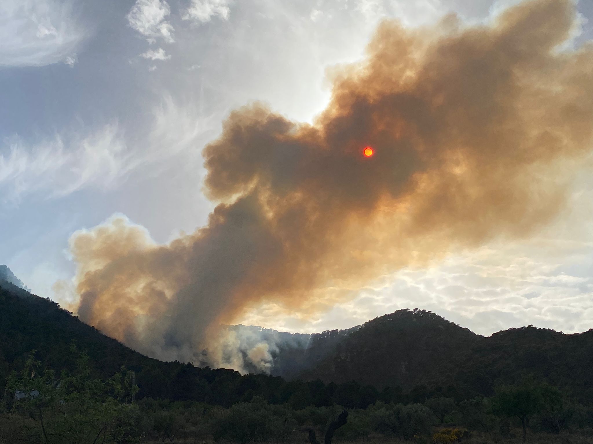 Incendi en la serra del Maigmó a Alacant (Foto: Carles Cortés - Laboratori de Climatologia de la UA) Incendi en la serra del Maigmó a Alacant (Foto: Carles Cortés - Laboratori de Climatologia de la UA)
