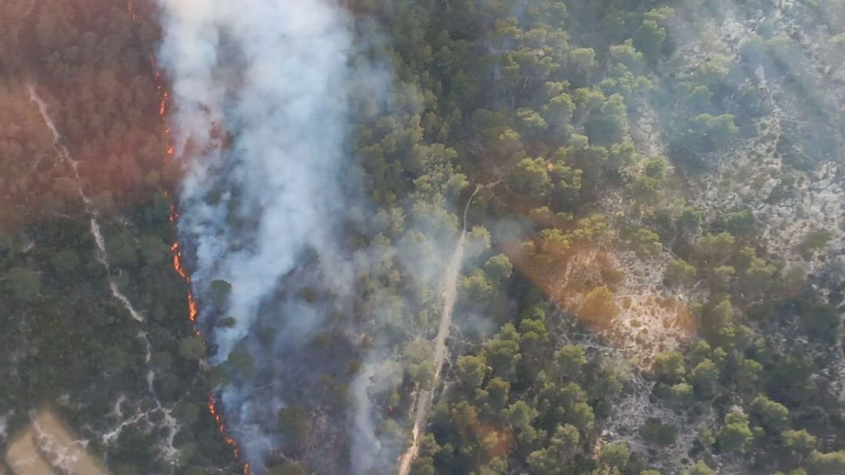 Foco activo en el incendio del Maigmó en Alicante (Foto: GVA)