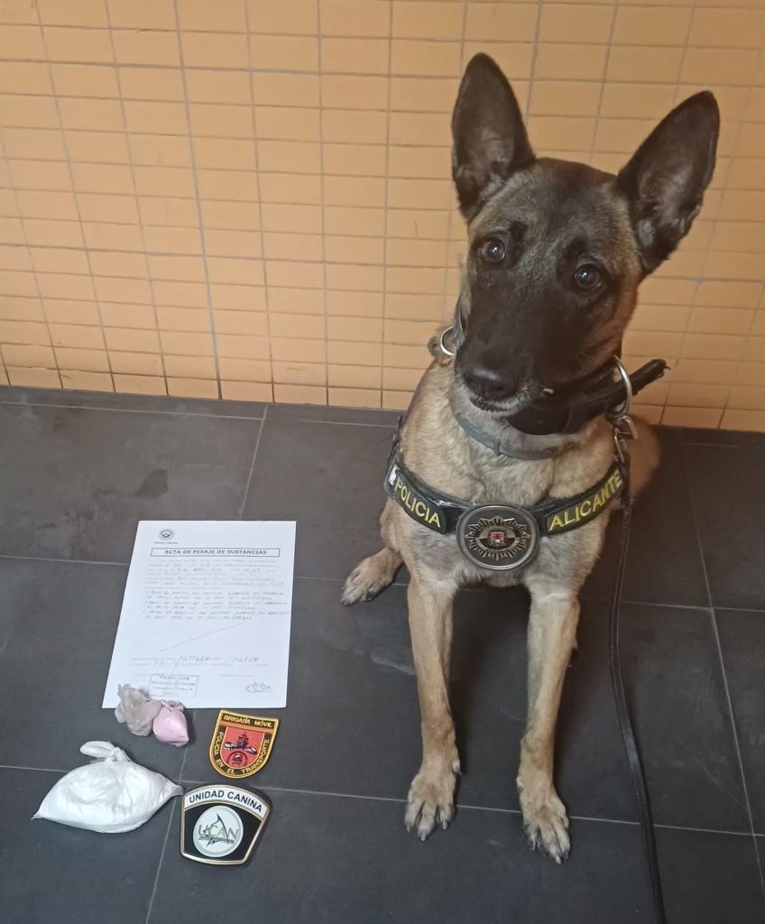 whatsapp image 2026 04 08 201758