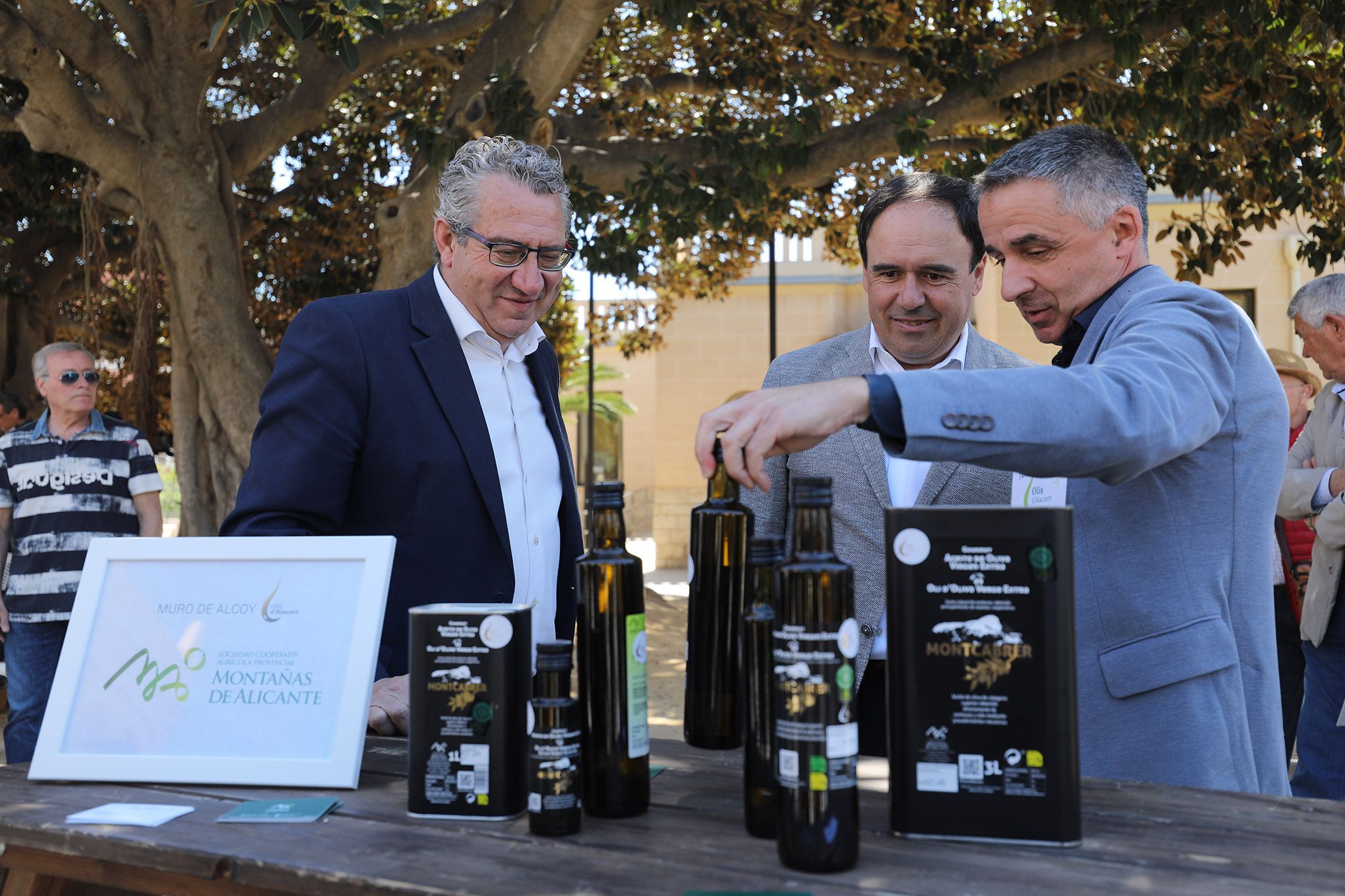 Mostra d'Olis d'Alacant 