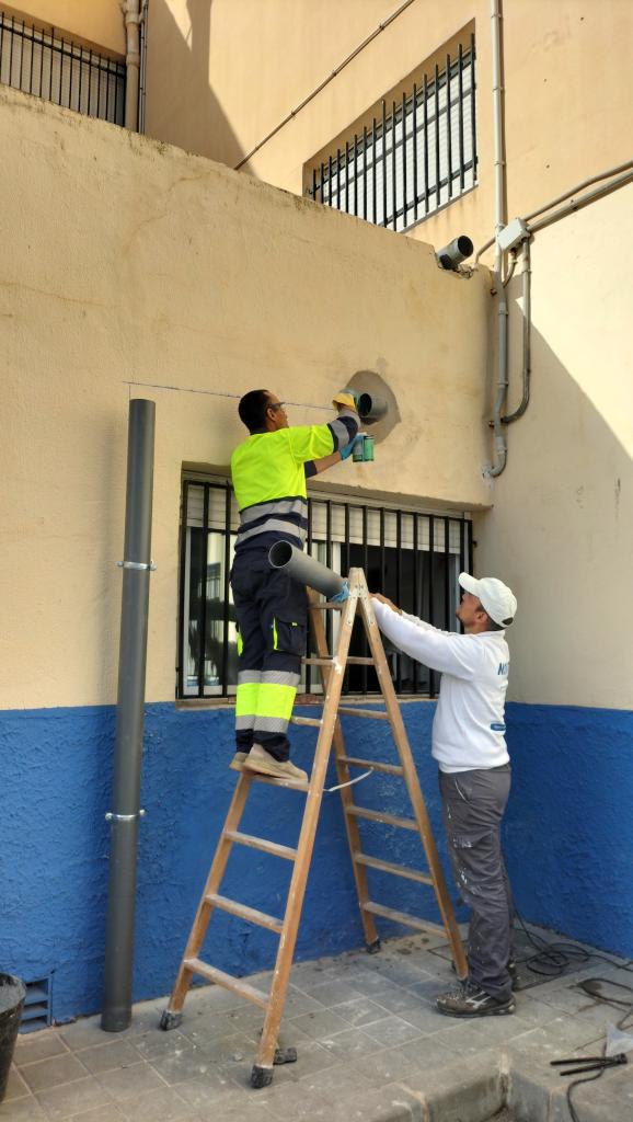 cole virgen del remedio