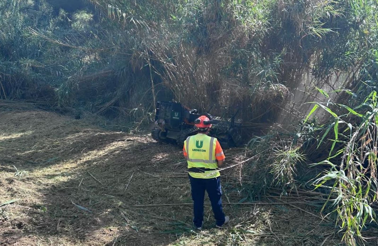 Un operari durant els treballs de desbrossament en els llits d'Orihuela
