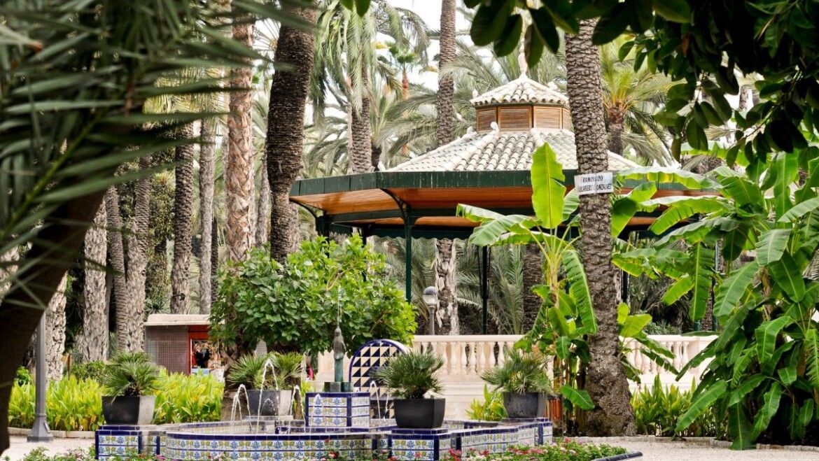 Elche dedicara una palmera en el parque municipal a la ciudad de Castellon 1170x659