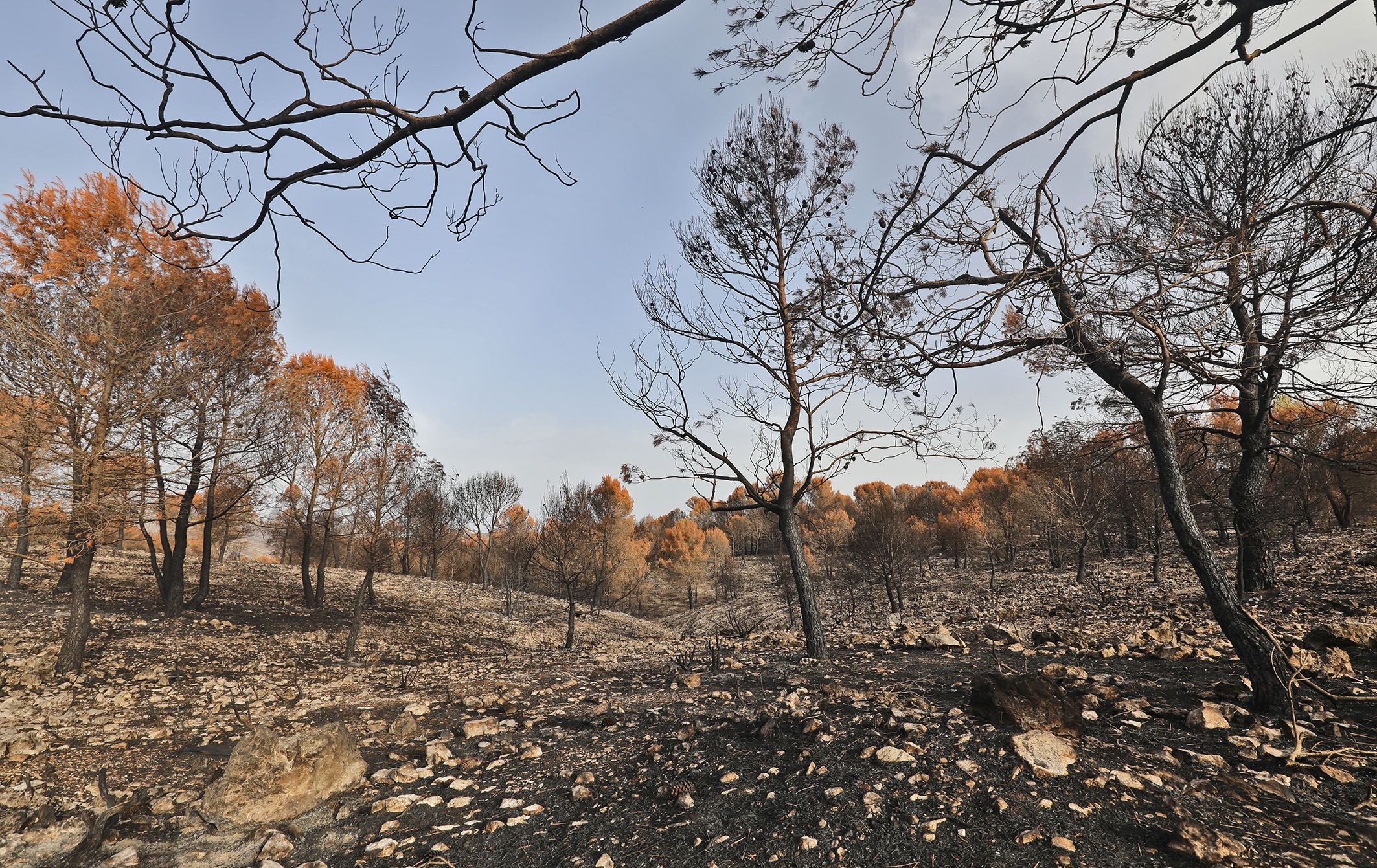 Ayudas Prevencion Incendios Forestales