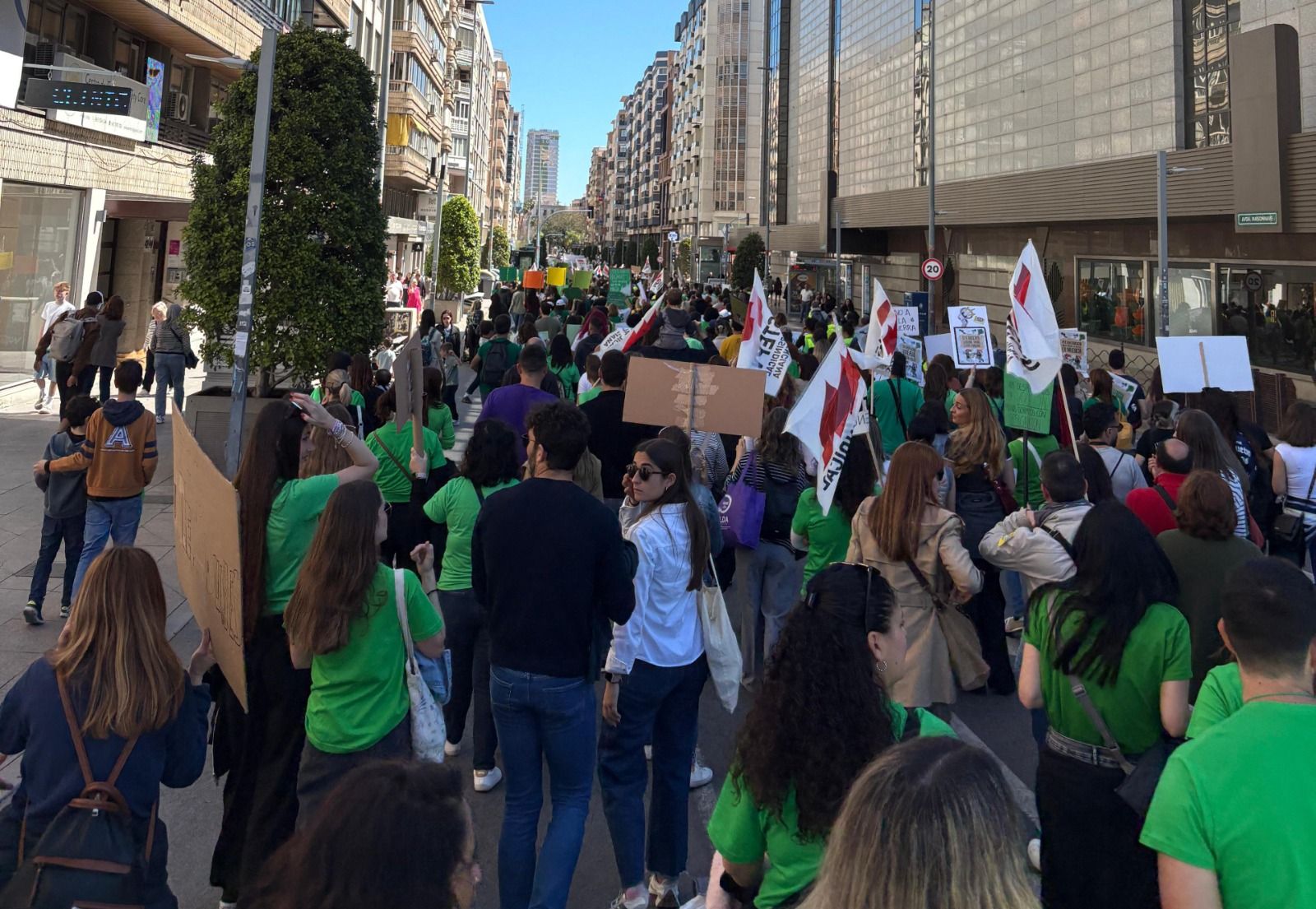 Vaga del professorat a Alacant