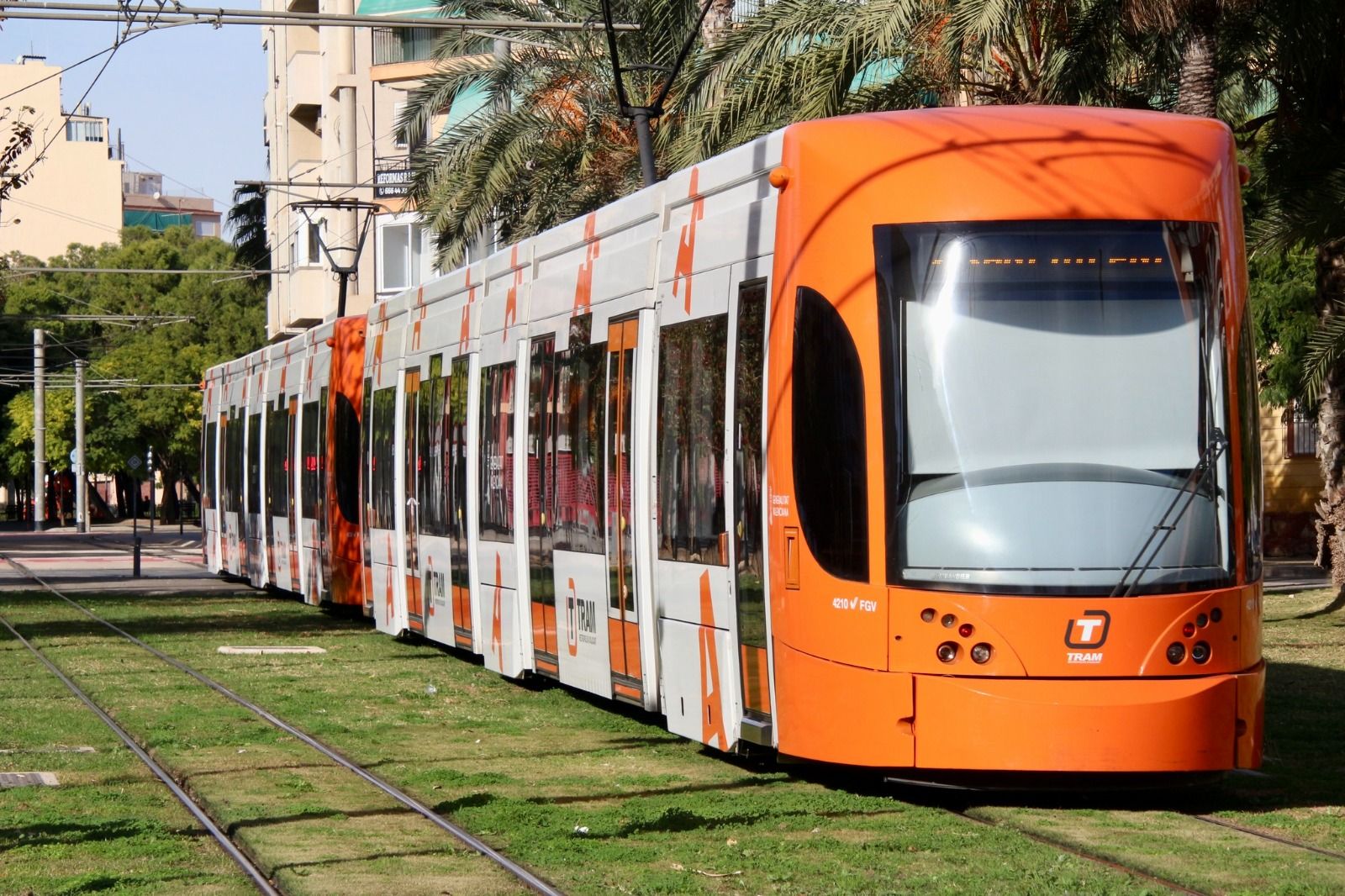 TRAM d'Alacant al seu pas pel Bulevard del Pla (Foto: Espen Franck-Nielsen)
