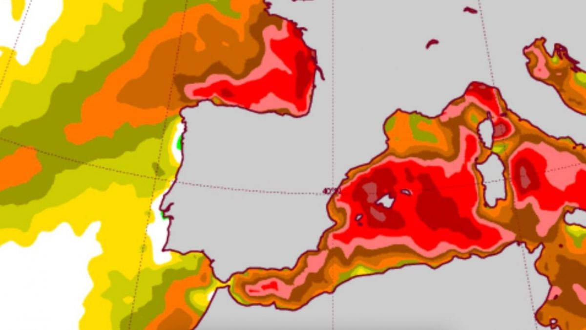 Mapa de la temperatura en el Mediterrani Occidental (Font: ECMWF)
