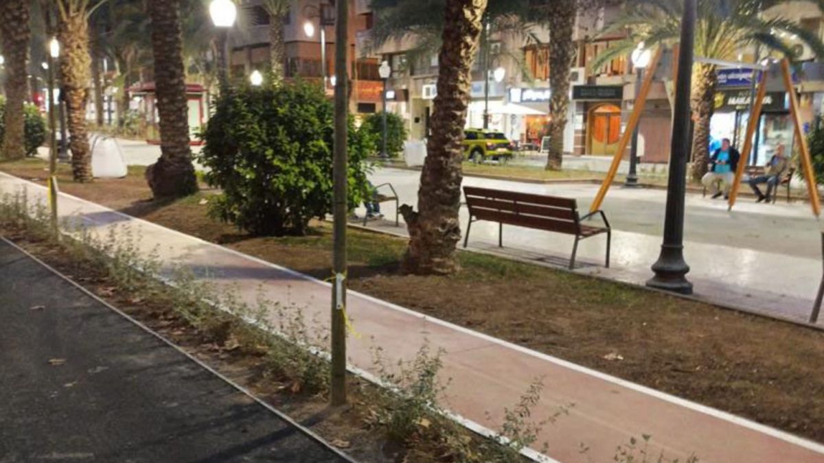 Carril bici en Alicante tras a remodelación de la avenida Doctor Gadea (Foto: Grupo Alcudia)